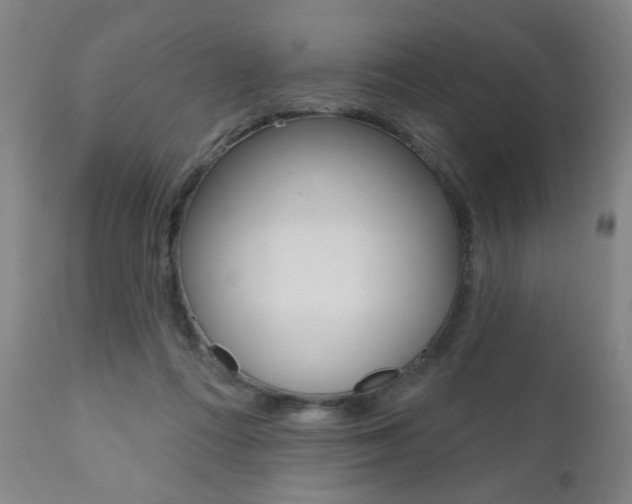 X0000111000312200906191150