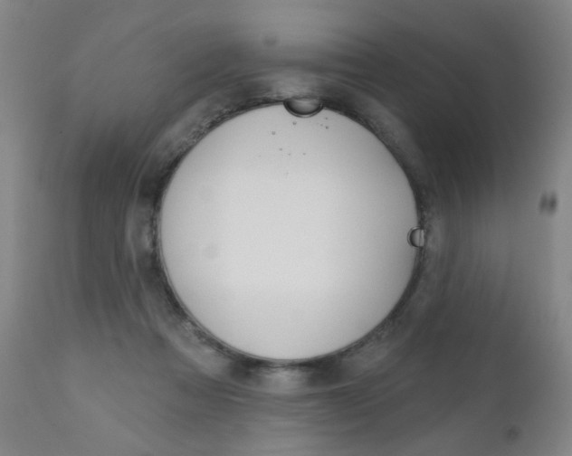 X0000111000313200906191150