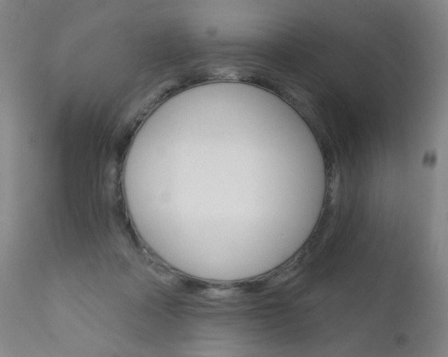 X0000111000314200906191150