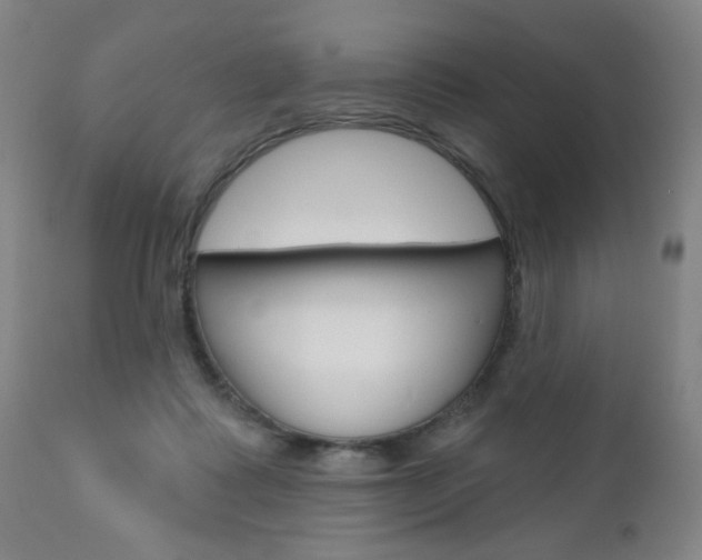 X0000111000315200906191150