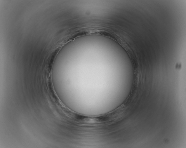 X0000111000316200906191150