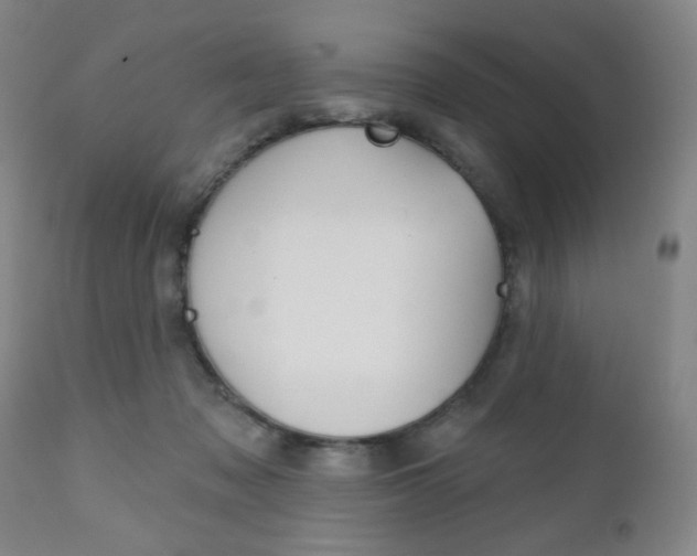 X0000111000317200906191150