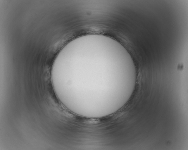X0000111000318200906191150