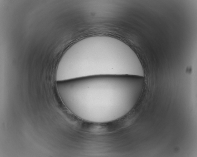 X0000111000319200906191150