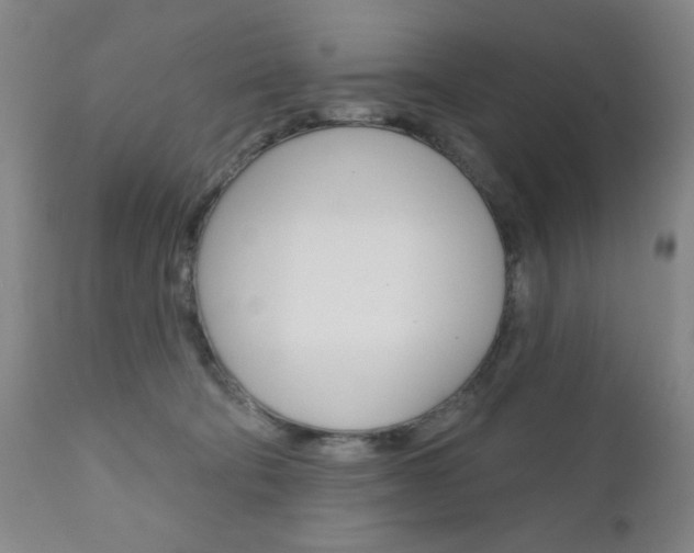 X0000111000322200906191150