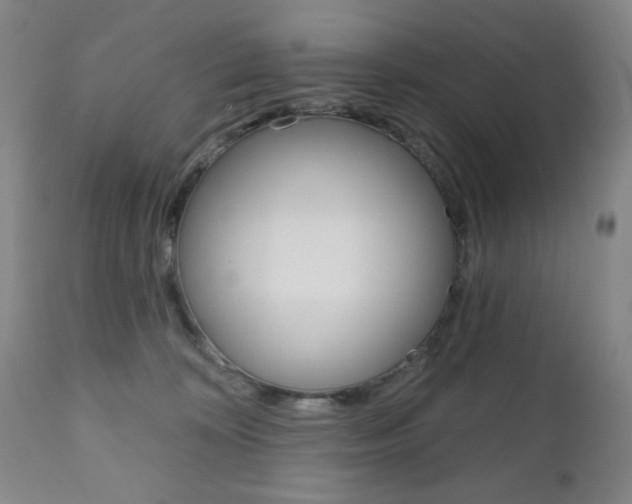 X0000111000324200906191150