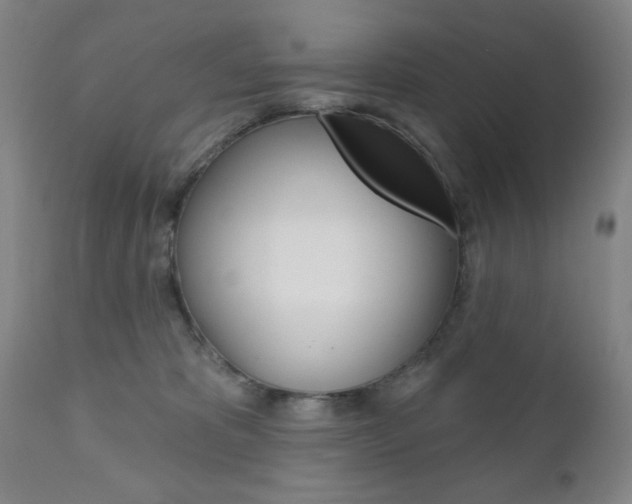 X0000111000325200906191150