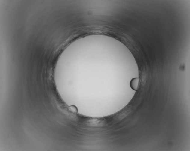 X0000111000326200906191150