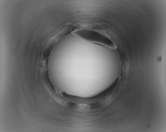 X0000111000327200906191150