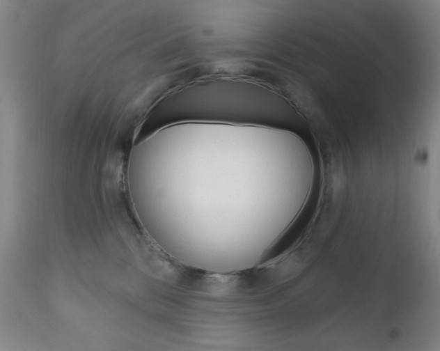 X0000111000328200906191150