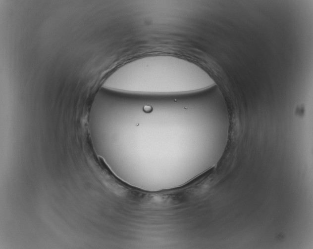 X0000111000329200906191149