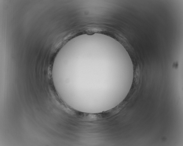 X0000111000330200906191149