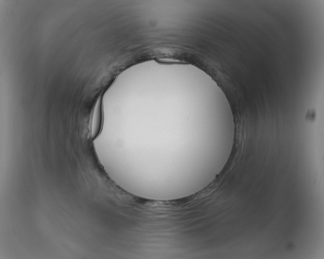 X0000111000331200906191149