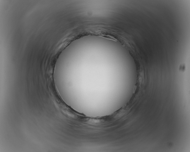 X0000111000332200906191149