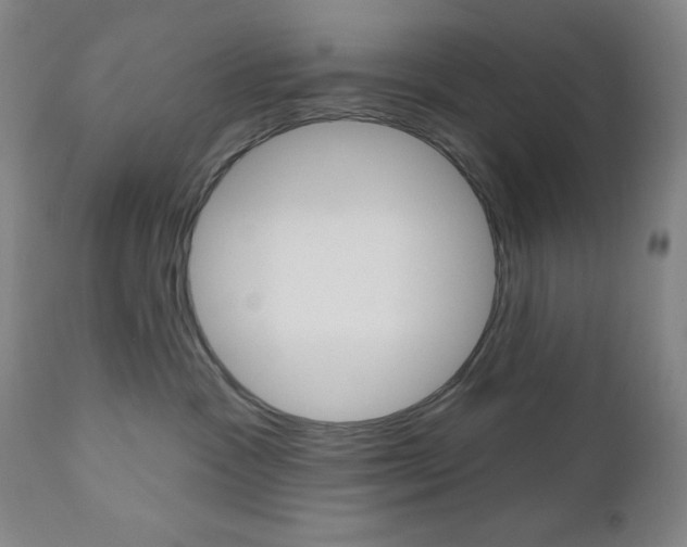 X0000111000333200906191149