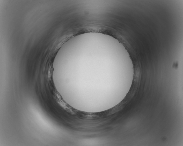 X0000111000334200906191149