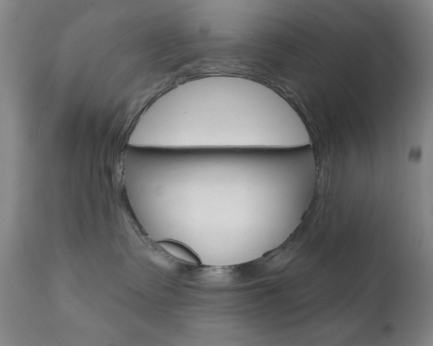 X0000111000335200906191149