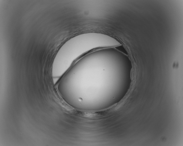 X0000111000336200906191149