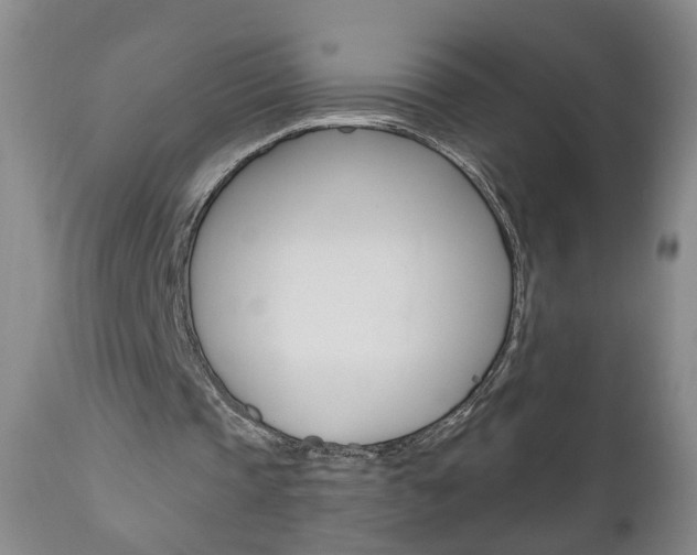 X0000111000337200906191149