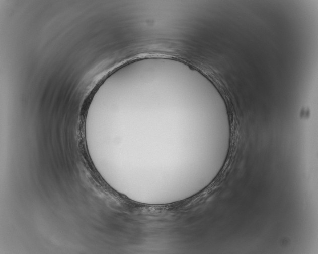 X0000111000338200906191149
