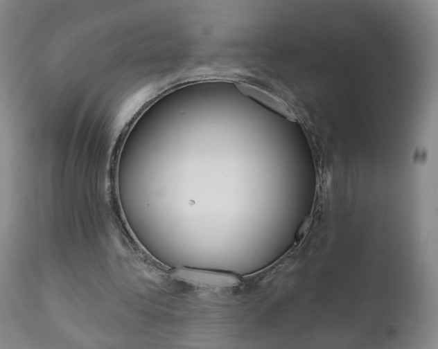 X0000111000340200906191149