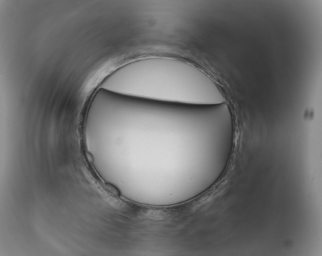 X0000111000341200906191149