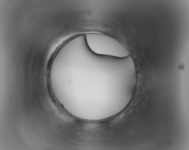 X0000111000342200906191149