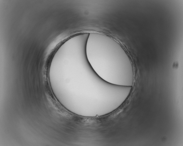 X0000111000343200906191149
