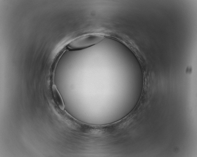 X0000111000344200906191149