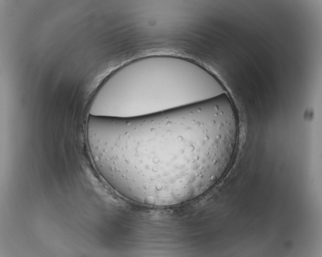 X0000111000345200906191149