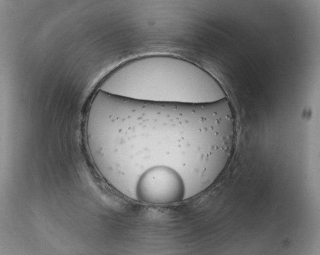 X0000111000346200906191149