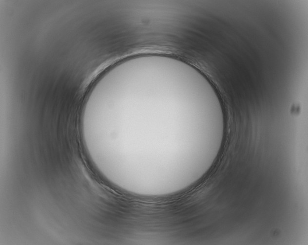 X0000111000348200906191149