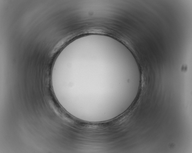 X0000111000349200906191149
