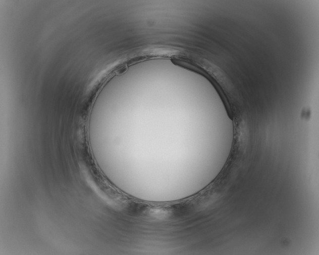 X0000111000352200906191149