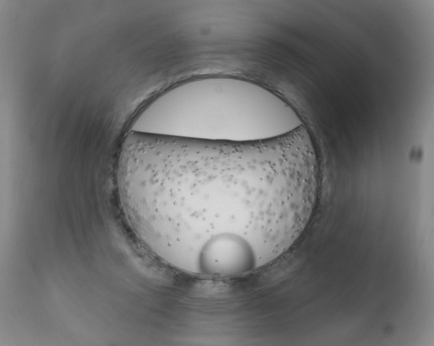 X0000111000354200906191149