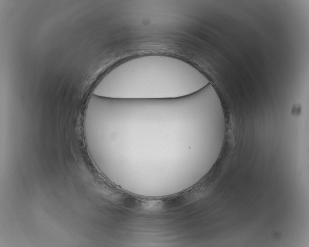 X0000111000355200906191149