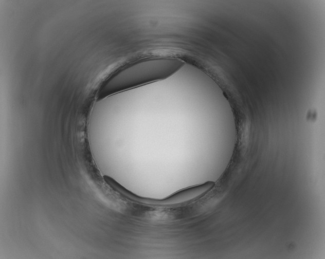 X0000111000356200906191149
