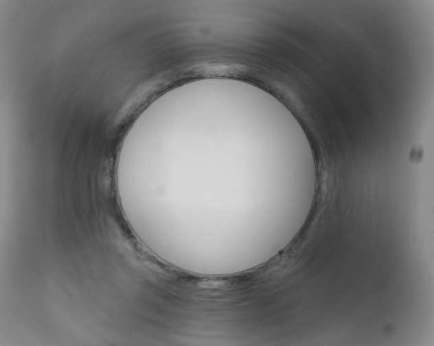 X0000111000357200906191149