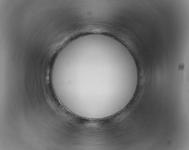 X0000111000358200906191149