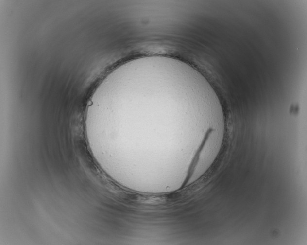 X0000111000359200906191149