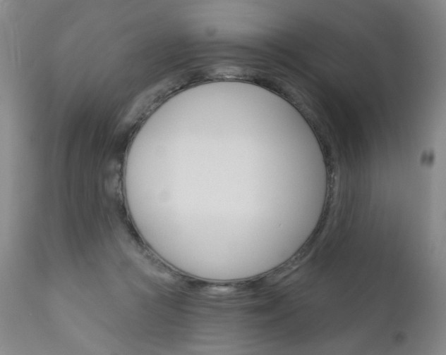 X0000111000361200906191149