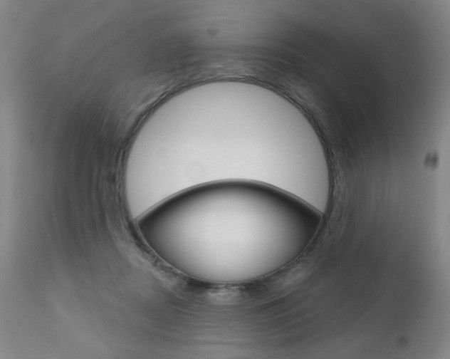X0000111000362200906191149