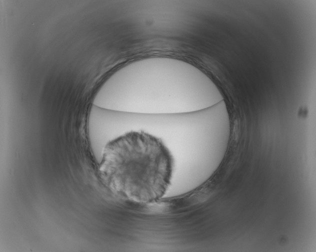 X0000111000363200906191149