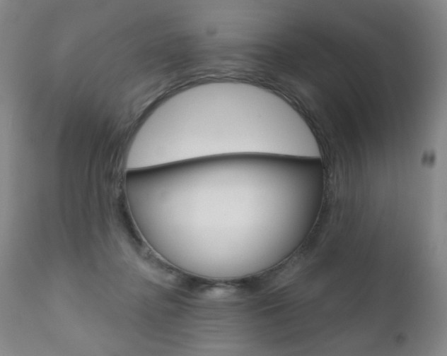 X0000111000364200906191149