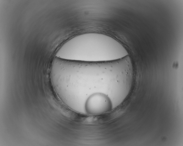 X0000111000366200906191149