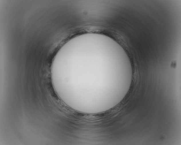 X0000111000367200906191149