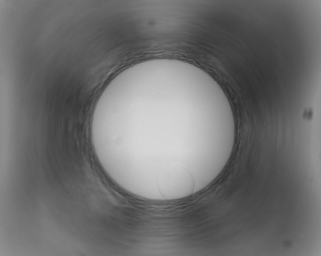 X0000111000368200906191149