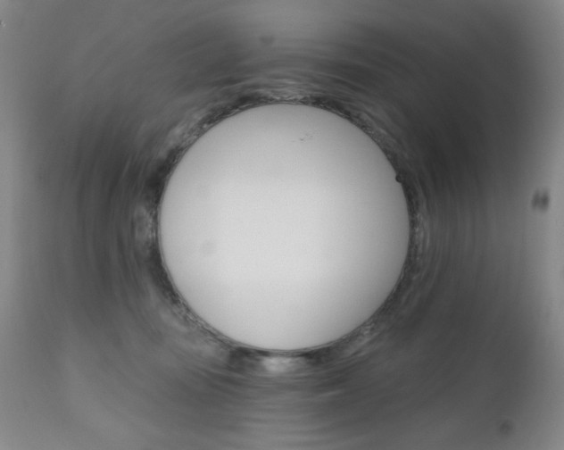 X0000111000371200906191149