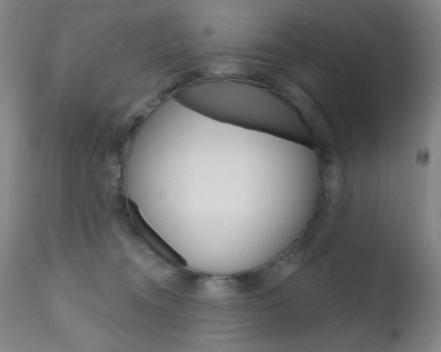 X0000111000372200906191149