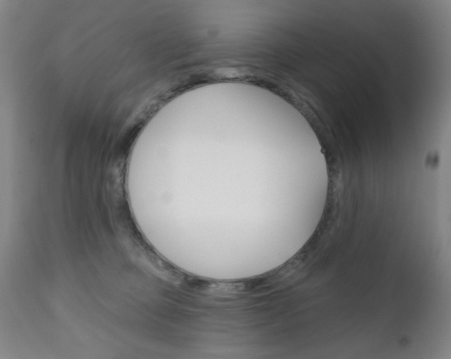X0000111000373200906191149